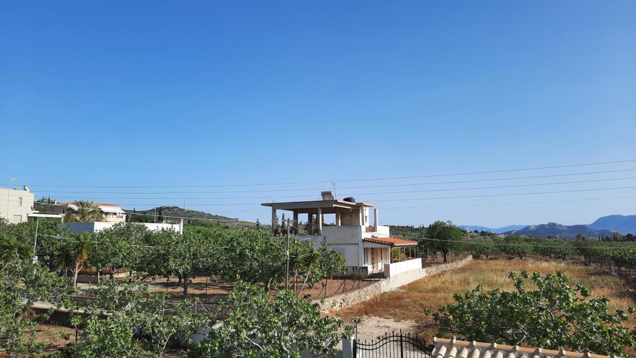 AeginaMosxonas House公寓 外观 照片